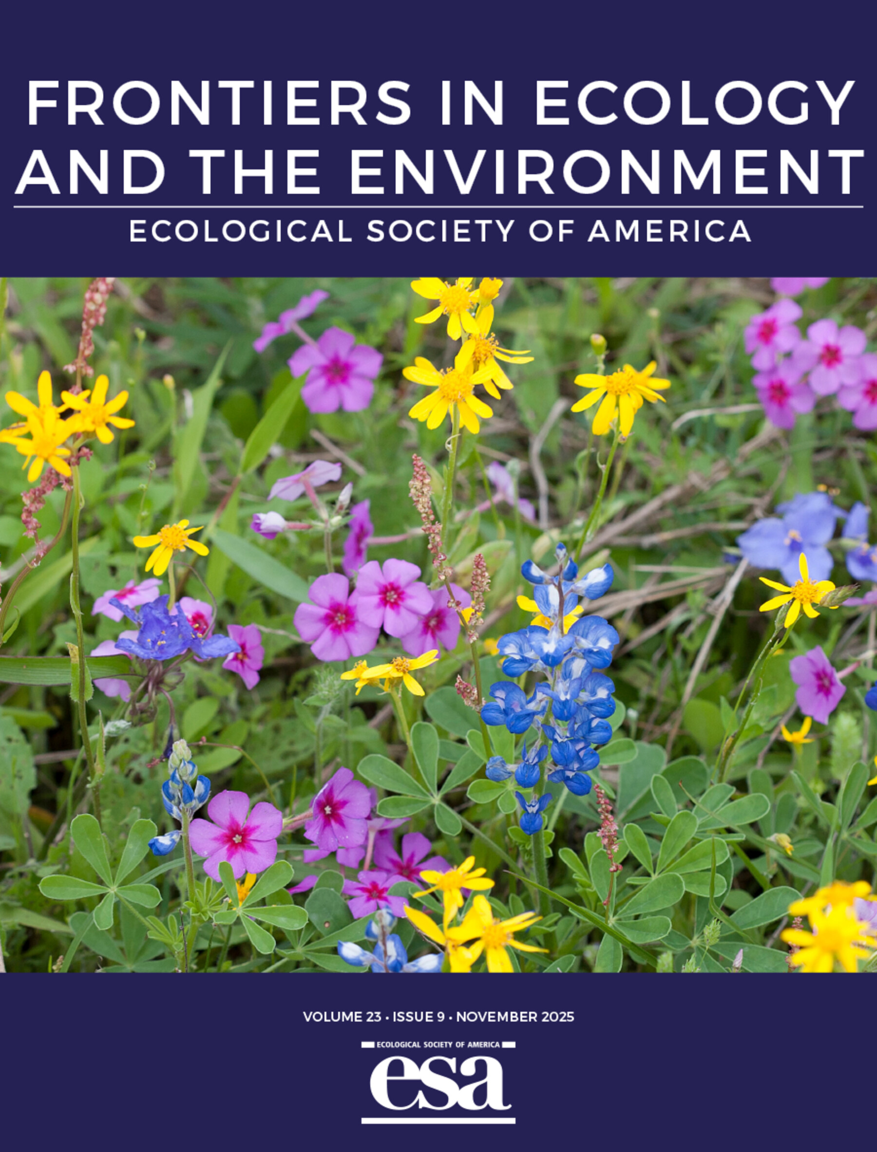 Measuring what matters in the era of big data